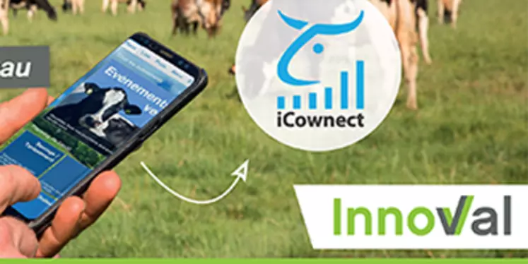 icownect innoval