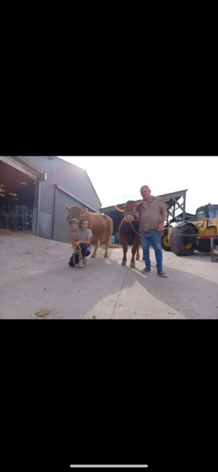 Dorian et Stéphane Havé sont installés à Sainte-Croix-sur-Buchy (Seine-maritime) sur 140 ha de SAU dont 45 ha de prairies. Le troupeau compte actuellement 75 limousines, ...