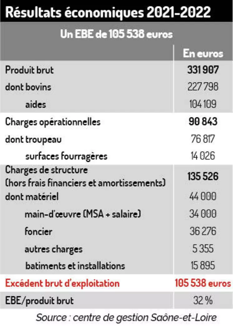 En bovin viande, s’appuyer sur un audit pour améliorer les performances de son exploitation