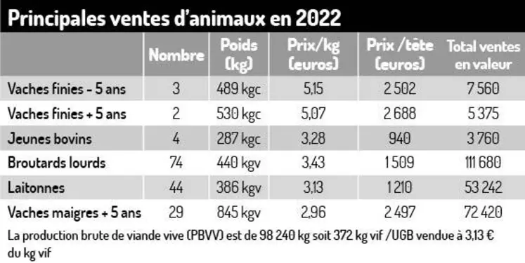 En bovin viande, s’appuyer sur un audit pour améliorer les performances de son exploitation