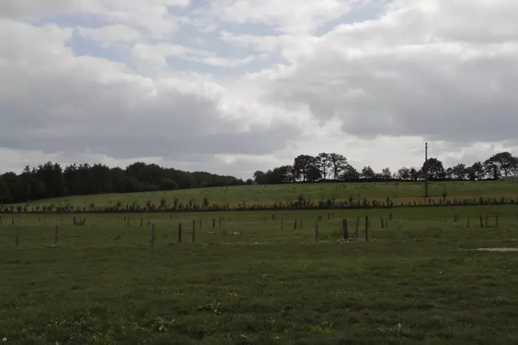 Des investissements ont aussi été engagés sur les différentes fermes pour planter des haies bocagères ou encore restaurer des cours d'eau, avec la création de ...