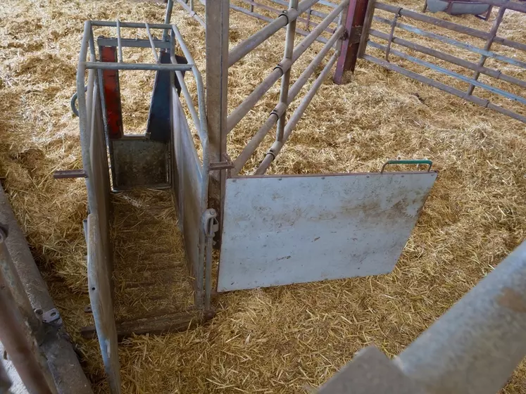 Une porte pour la cage à veau et une barrière autoportée pour déplacer les animaux sans se fatiguer