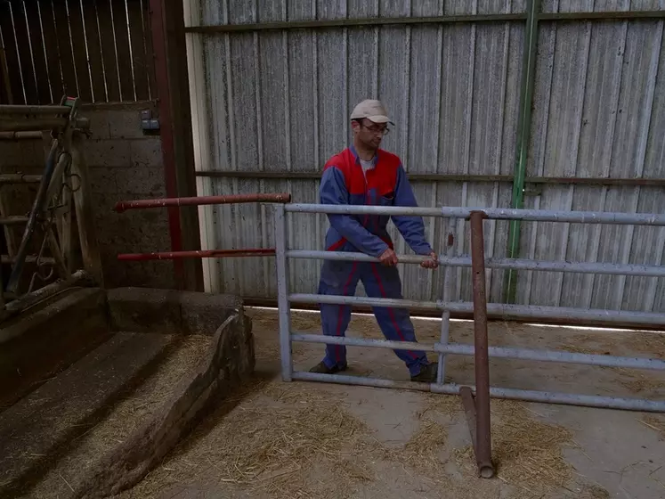 Une porte pour la cage à veau et une barrière autoportée pour déplacer les animaux sans se fatiguer