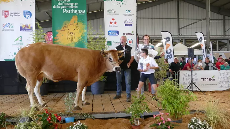 Le prix de synthèse prend en compte les performances de l’animal mesurées à travers ses index et la note attribuée par les juges. Pour les femelles, c’est Pétillante ...