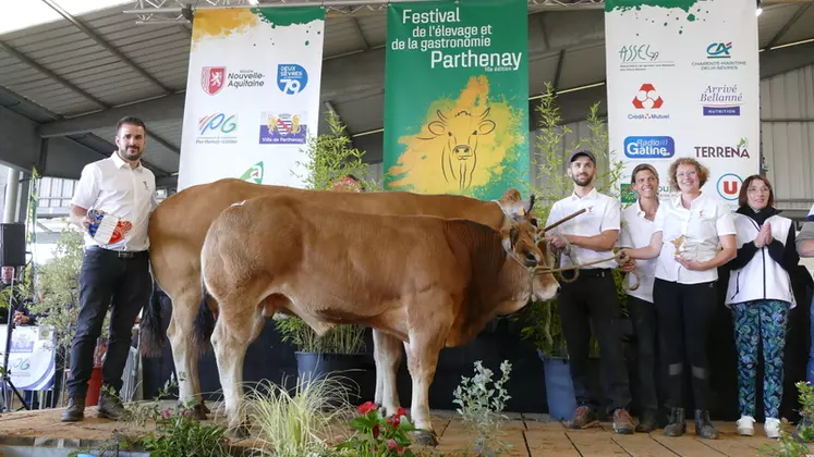 Appartenant à la SCEA élevage Picauville (79), Naturelle (Justenorm/Ecarlate), a reçu le prix de championne suitée. Elle a été distinguée pour sa largeur ...