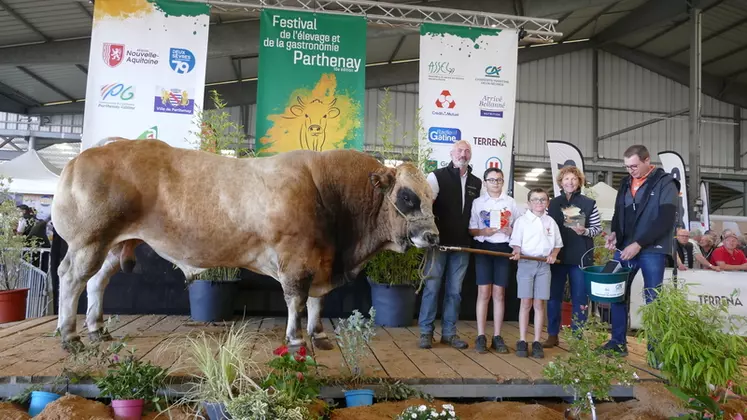 Meilleur taureau adulte du concours, Octobre (Garfield/Luciole) au Gaec Delion (79) était l’animal le plus complet. Son épaisseur de dessus, son bassin, et sa longueur ...