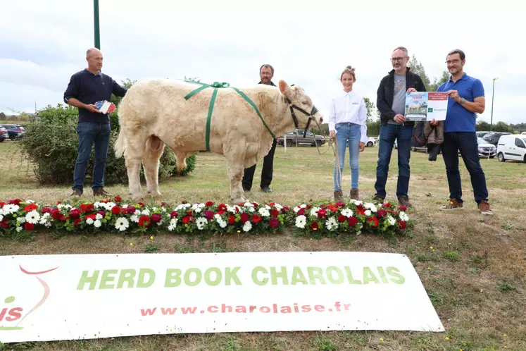 concours charolaise