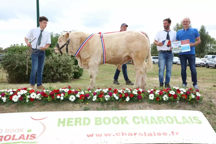 concours charolaise