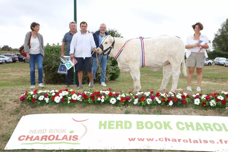 concours charolaise
