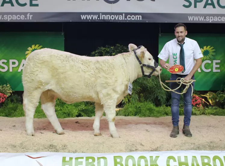 space concours charolais