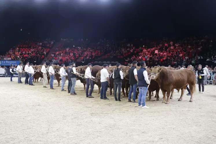 Pour ce concours national, 350 animaux ont pu défilé au zénith de la Grande Halle d’Auvergne durant le Sommet de l'élevage 2023. 