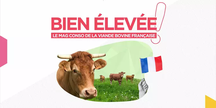 La section bovine d'Interbev dévoile en ce mois d'octobre un programme inédit intitulé « Bien élevée ! Le mag conso de la viande bovine française ». 