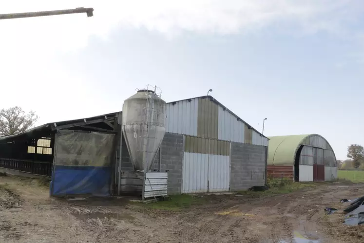 Après une première stabulation construite en 1993, Jean-Claude Flacelière a privilégié des tunnels, plus économiques, considérant l'ambiance de bâtiment tout aussi ...