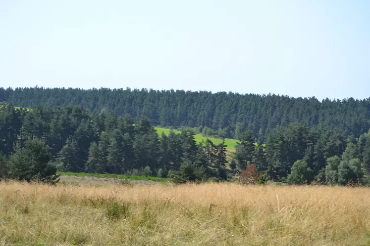 La qualité des prévisions d’AP3C est telle que le Sidam envisage de mettre à disposition des chambres d'agriculture, dans les mois à venir, un outil de diagnostic ...