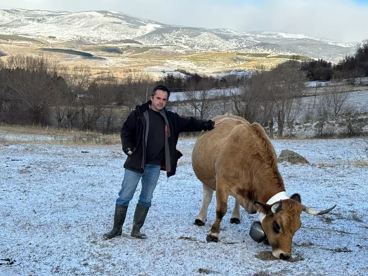 Christian Tallant, éleveur de 230 vaches aubracs à Osséja, dans les Pyrénées-Orientales, accuse plus de 80 % de pertes fourragères sur son exploitation. Il n'a pourtant ...