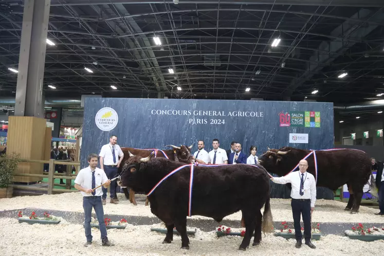concours général agricole 2024 race salers
