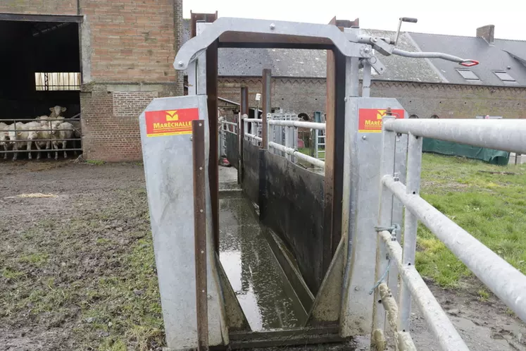 Une porte de contention a été installée à la sortie du pédiluve pour mieux réguler le flux de passage. Les barrières amovibles de part et d'autre du pédiluve facilite ...