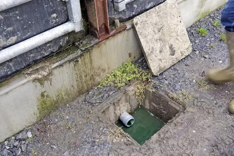 Pour éviter le mélange avec les eaux usées, les jus de pédiluve sont récupérés dans une cuve de 4000 litres, installée cet hiver. 