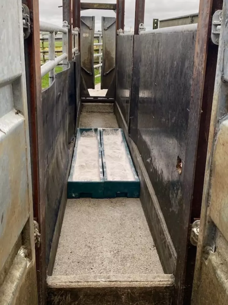 En alternative à la solution liquide en période de gel, Mathieu Canon a testé l'emploi d'un produit asséchant. Le passage des animaux a été tout aussi fluide. 