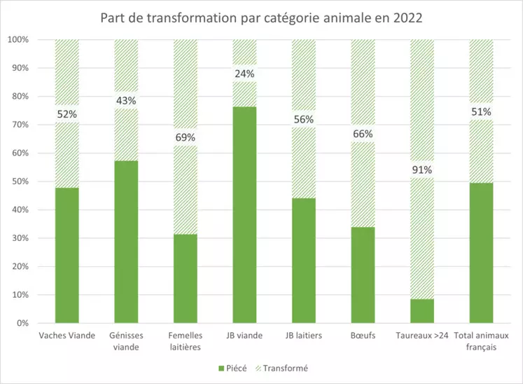 Histogramme représentant la part de viande transformée et piécée selon la catégorie de bovin en 2022. 