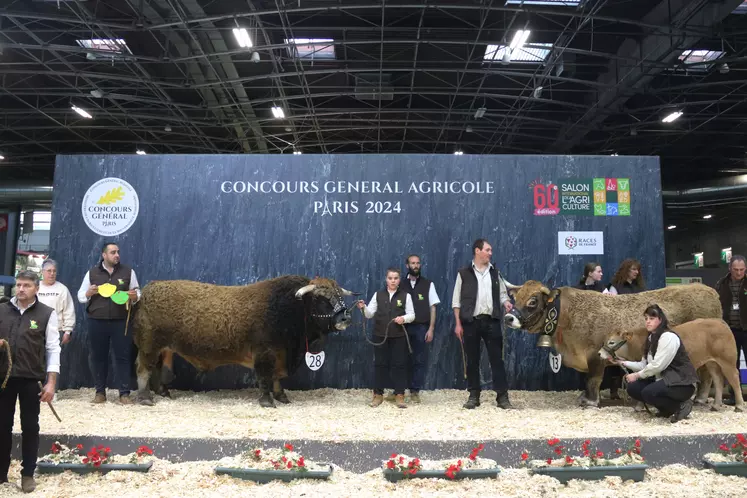concours général agricole 2024 race aubrac