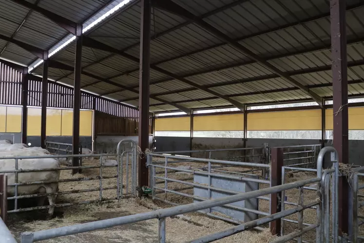 Dans un bâtiment d’élevage bovin, les passages d’Homme vont dans les deux sens : ils permettent de faciliter et de pacifier les interactions homme-animal, sources ...