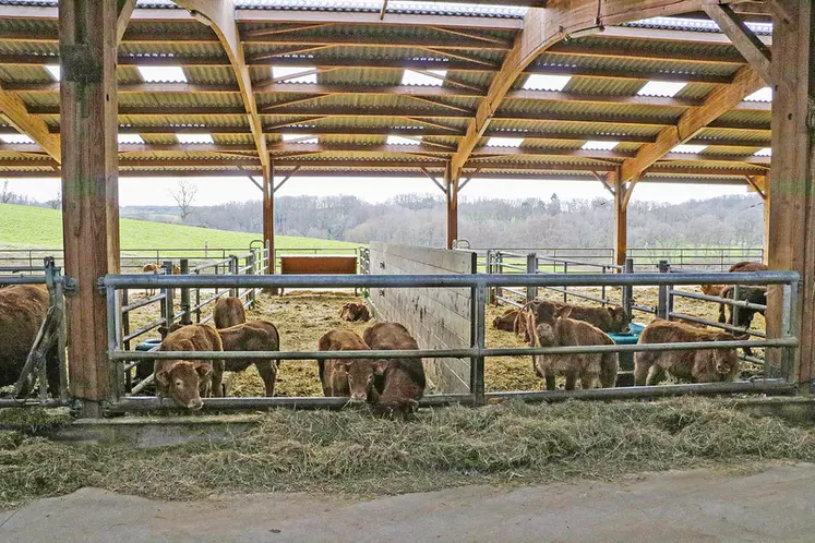 À la mise à l'herbe au printemps, les deux parcs à veaux du côté ouvert peuvent servir de couloir et de zone de chargement de la bétaillère pour fluidifier les ...