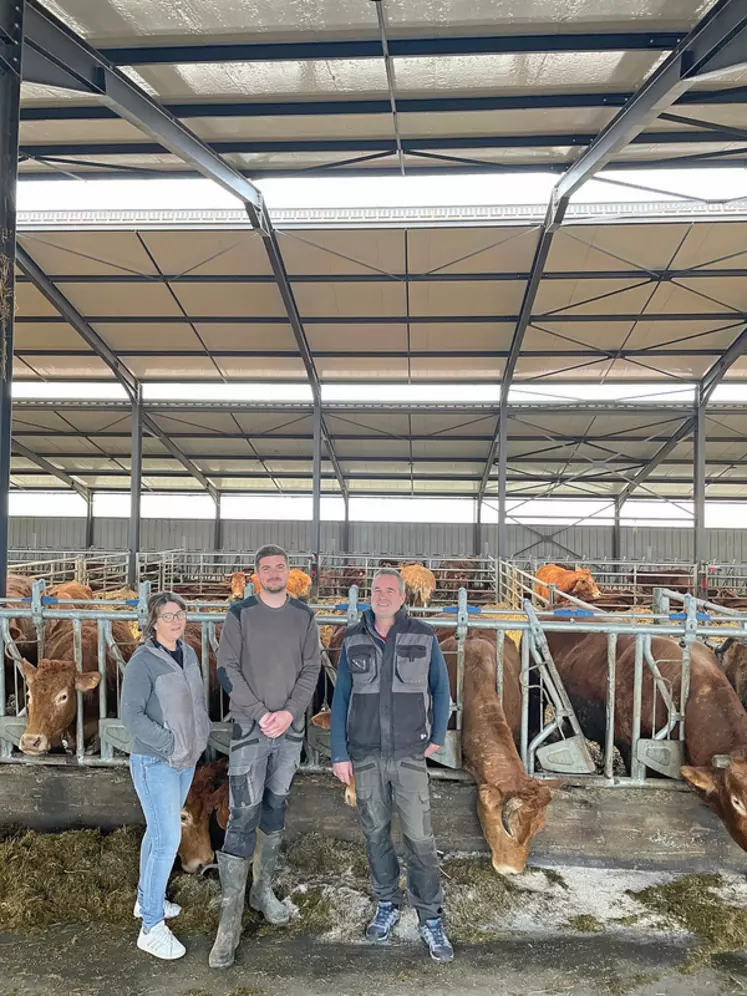 Stabulation aire paillée avec stockage fourrage élevage vaches limousines en Haute-Loire