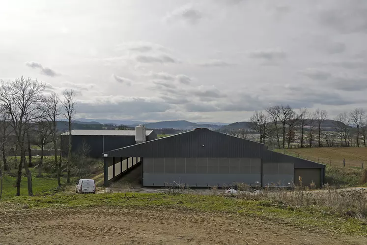 Stabulation aire paillée avec stockage fourrage élevage vaches limousines en Haute-Loire