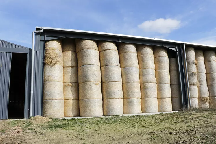 Stabulation aire paillée avec stockage fourrage élevage vaches limousines en Haute-Loire