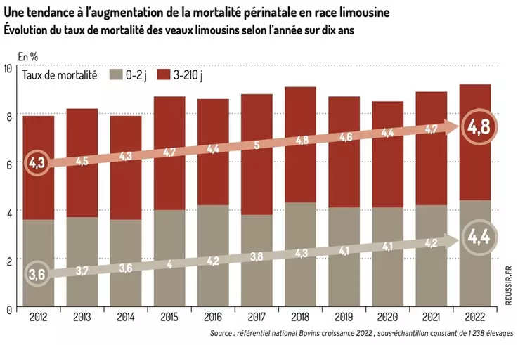 Graphique : Une tendance à l’augmentation de la mortalité périnatale en race limousineÉvolution du taux de mortalité des veaux limousins selon l’année sur dix ans