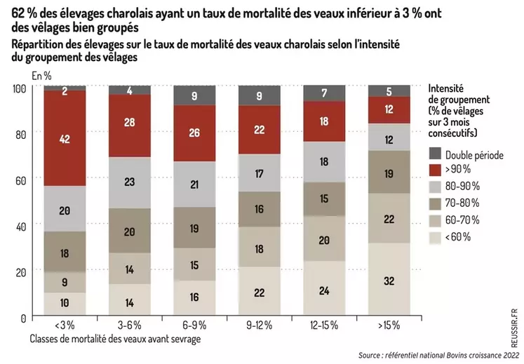 Graphique : 62 % des élevages charolais ayant un taux de mortalité des veaux inférieur à 3 % ontdes vêlages bien groupésRépartition des élevages sur le taux de ...
