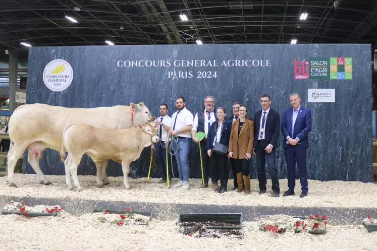 Concours de la race blonde d'Aquitaine. La vache lauréate et son veau posent avec leurs éleveurs.