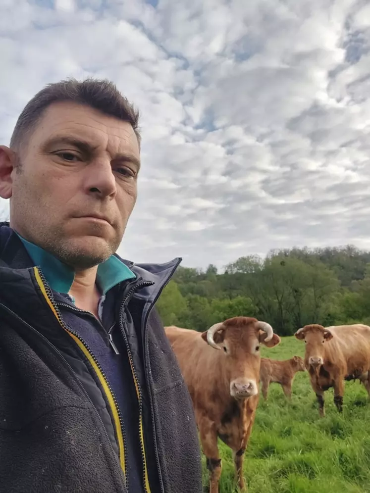 Photo de Boris Fétiveau, éleveur de bovins viande avec des vaches limousines dans l'Yonne