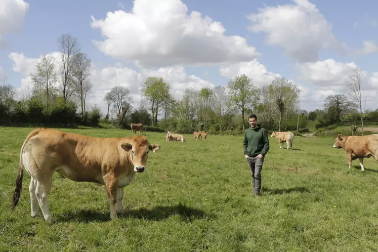 Gaec Picauville élevage de parthenaises dans les Deux-Sèvres