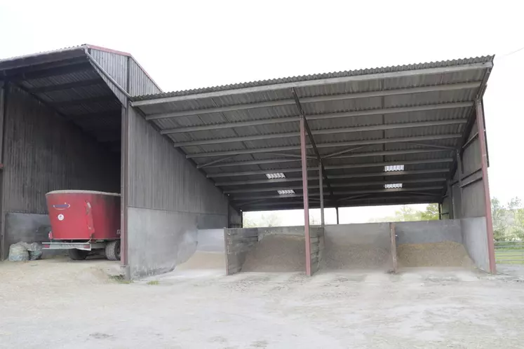 Gaec Picauville élevage de parthenaises dans les Deux-Sèvres