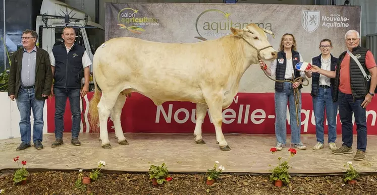 Olympie, appartenant à l'EARL Planté (40), est désigné meilleur animal du concours. Cette vache de 1027 kg remporte également le prix de championnat adulte.