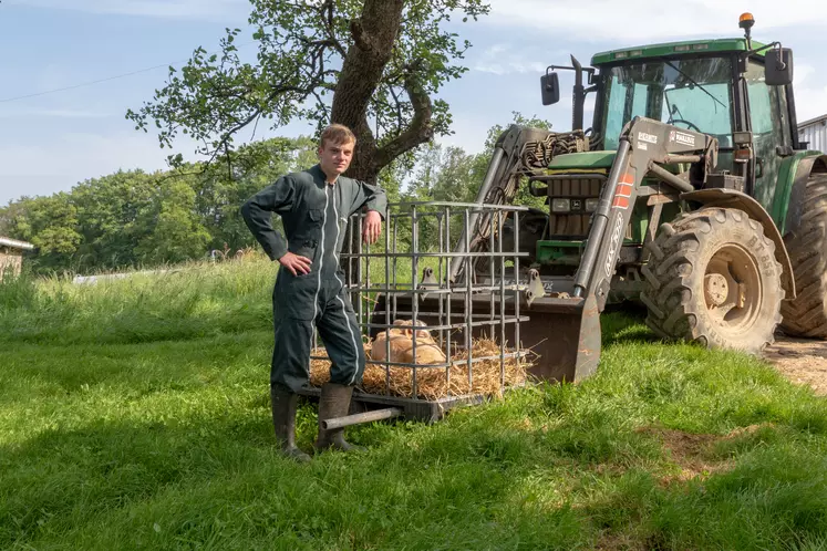 astuce éleveur transport veau