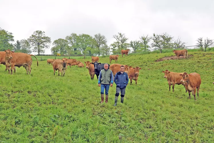 Benoit et Jean-Louis Théron, éleveurs bovins de limousines dans le Cantal, ont fait d'une pierre deux coup en clôturant le PTD avec les châtaigniers.