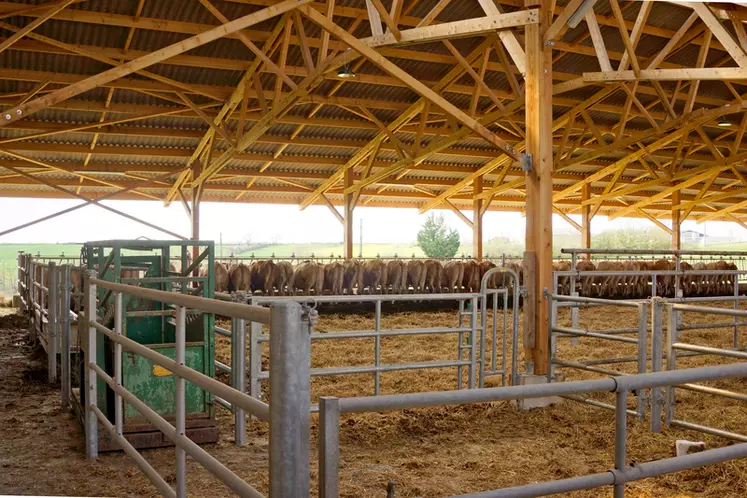 Ferme Les Bordes à Saint-Martin-Laguépie dans le Tarn chez Sandrine Chambert-Cayre.