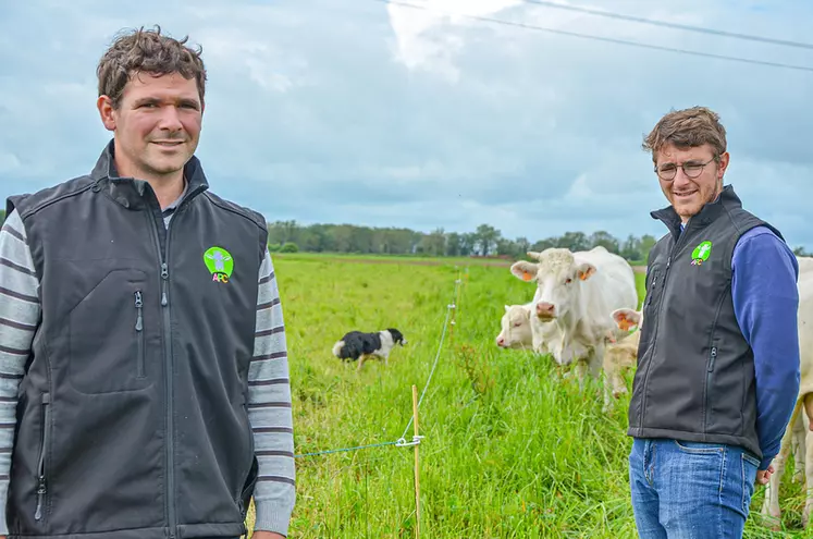 système polyculture élevage troupeau charolais Indre