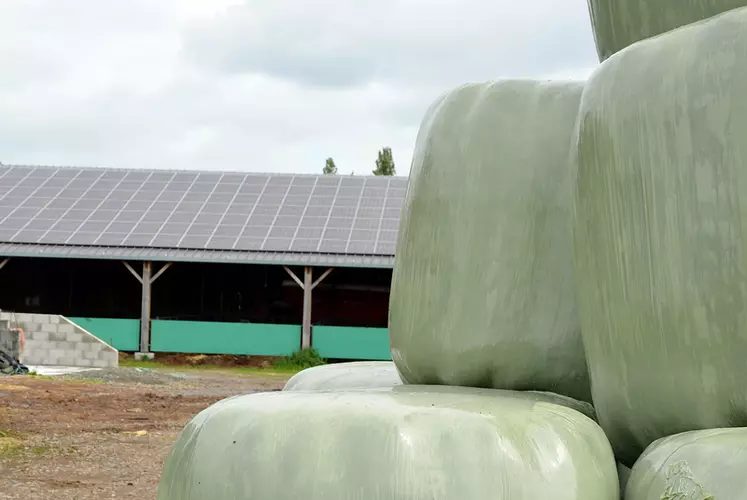 Bâtiment d'élevage toit photovoltaïque