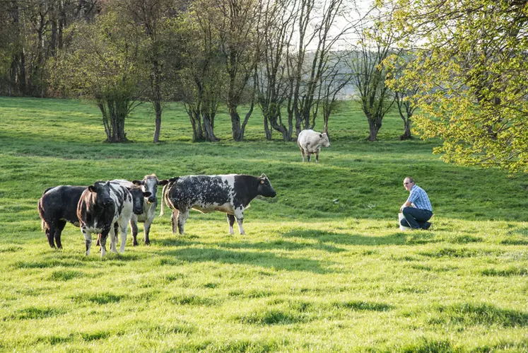 Coopérative « En direct de mon élevage » Belgique