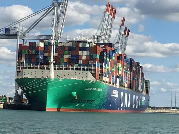 porte container port du Havre. A l'export comme à l'importation, le marché mondial de la viande bovine continue sur une tendance très dynamique.