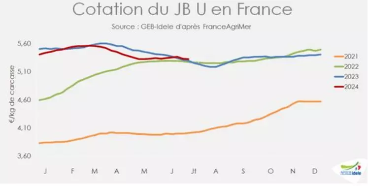 cotation jeunes bovins France