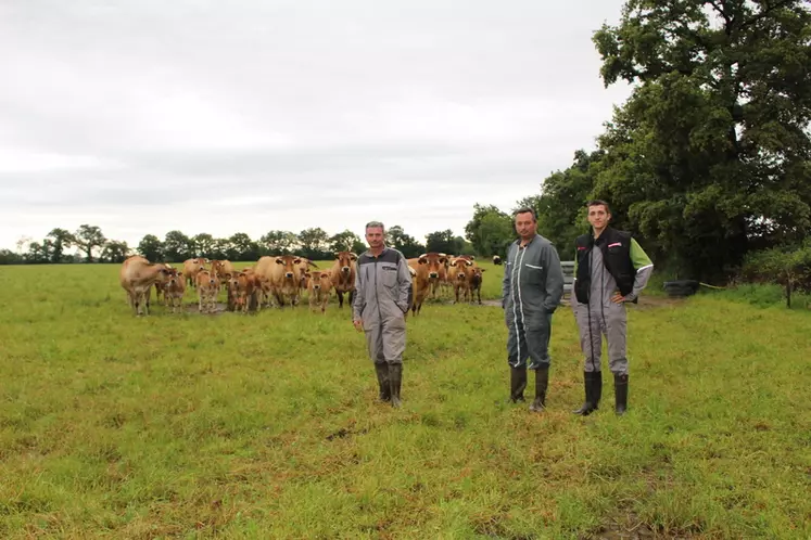 éleveurs bovins viande prairie vaches parthenaise veaux