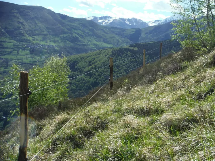 clôture permanente high tensile Hautes-Pyrénées