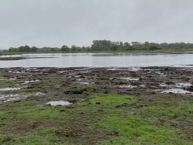 David Moisan, associé au Gaec Le Rocher Du Fresne à Sainte-Reine-de-Bretagne en Loire-Atlantique, 160 vêlages en race charolaise en système naisseur engraisseur, SAU de ...