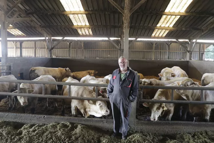 Atelier d'engraissement de jeunes bovins au Gaec des Landelles en Loire-Atlantique