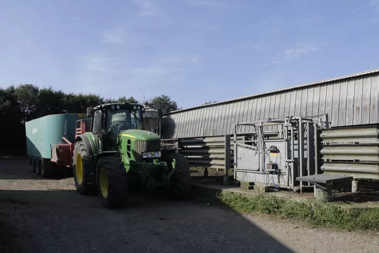 Atelier d'engraissement de jeunes bovins au Gaec des Landelles en Loire-Atlantique